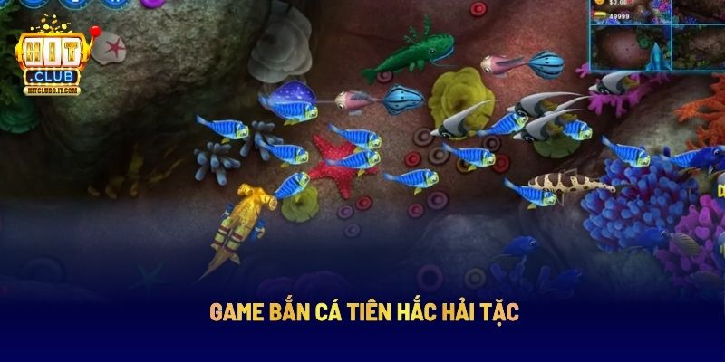 Bắn Cá Tiên Hắc Hải Tặc: Cuộc Săn Kho Báu Giữa Đại Dương 1 Bắn Cá Tiên Hắc Hải Tặc: Cuộc Săn Kho Báu Giữa Đại Dương